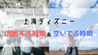 上海ディズニー 平均的な費用と格安で行く方法 添乗員が教えます こむぎtravel