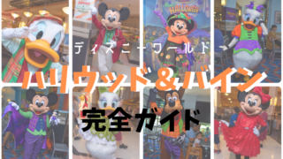 Wdw最高のキャラダイ ケープメイカフェ 徹底ガイド 会えるキャラクター アクセス 値段など こむぎtravel